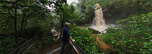 Forest waterfall, 360 video panorama - AirPano.com • 360 Degree Aerial Panorama • 3D Virtual Tours Around the World