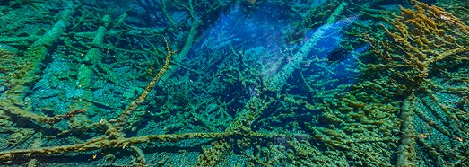 National Park Jiuzhaigou, China - AirPano.com • 360 Degree Aerial Panorama • 3D Virtual Tours Around the World