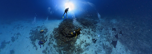 Disparo submarino en las Maldivas. Divers - AirPano.com • Grado Panorama 360 Aerial • 3D Virtual Tours en el Mundo