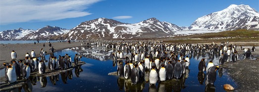 Antarctica, South Georgia Island • AirPano.com • 360 Degree Aerial Panorama • 3D Virtual Tours Around the World