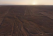 Nazca Lines. The Tree #3