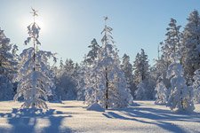 Kamchatka in winter #9