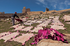 Drying of dyed skins