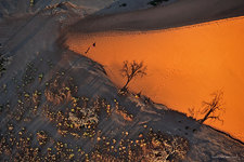 Namib Desert #2