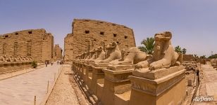 Western Processional Way. Avenue of Ram-headed Sphinxes. Karnak Temple