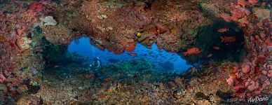 Underwater panorama