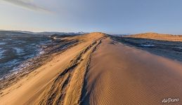 Dune at dawn
