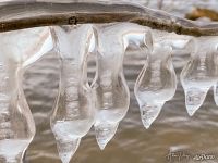 Icicles over the Danube
