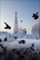 Winter at Nikolo-Ugreshskiy monastery, Russia • AirPano.com • Photo