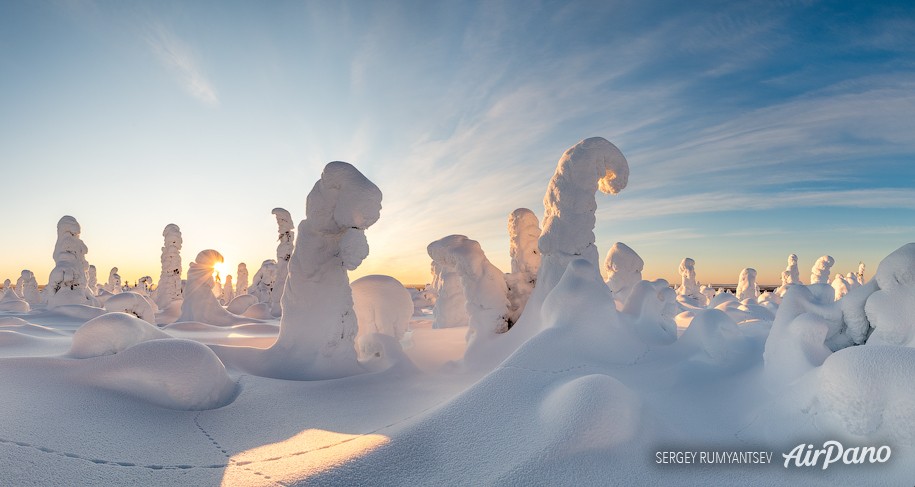 Four Seasons. Winter Forest. Relax Flight