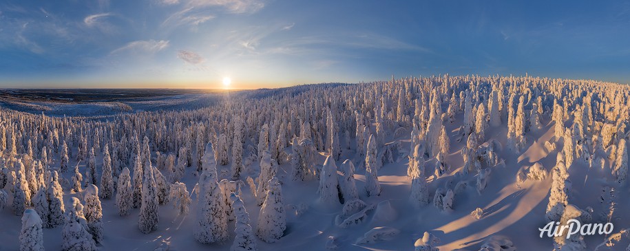 Snowy Fairytale. Lapland, Finland