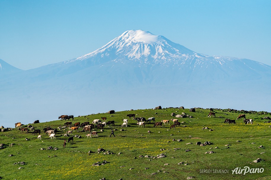 Mount Ararat