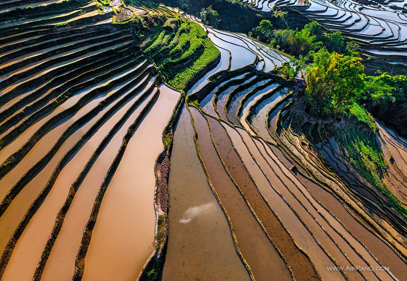 Yuanyang Rice Terraces