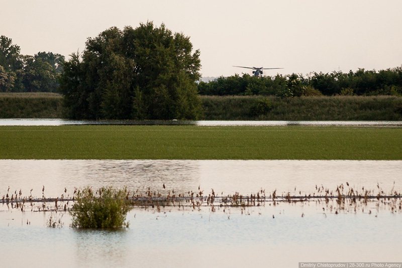 Helicopters with sand, which can be seen through the trees