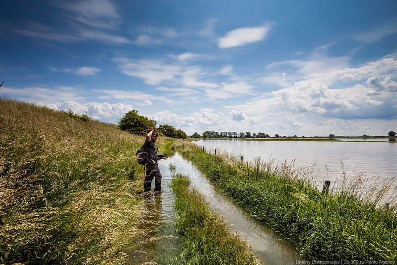 Flooding in Germany in June 2013