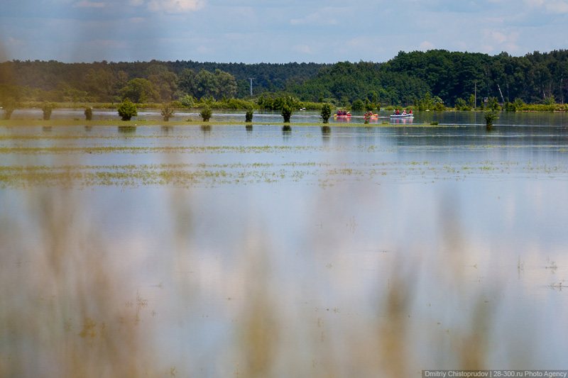 Lifeguards in boats during floods