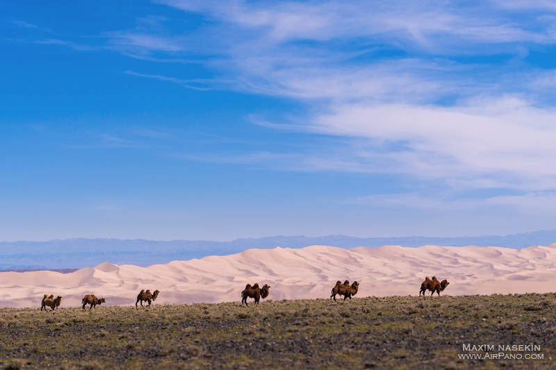 Gobi Desert, Mongolia