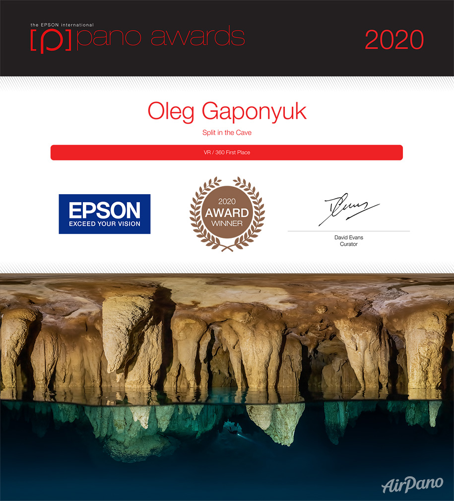 Epson International Pano Awards 2020