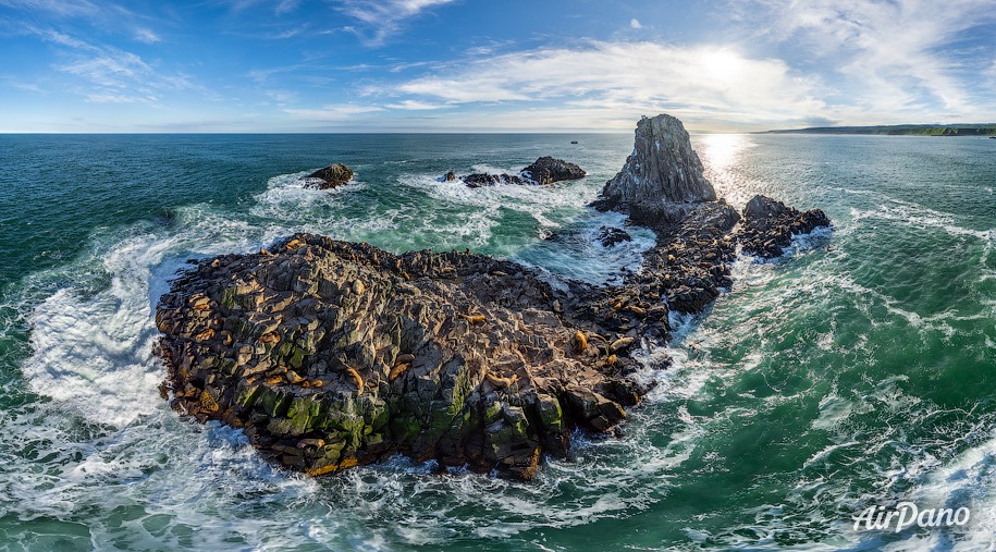 Kozlov's stone. Steller sea lions rookery