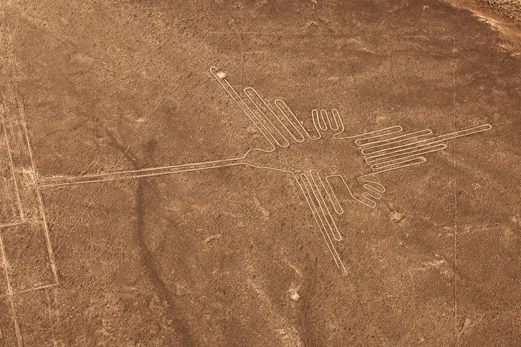 Nazca lines, the Colibri