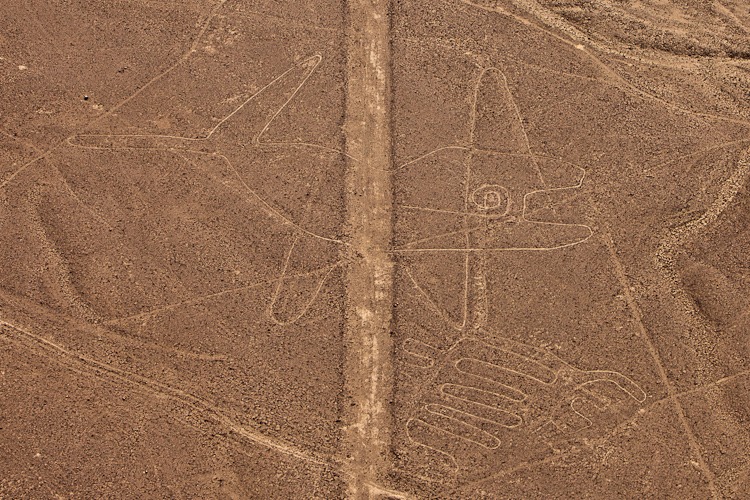 Nazca lines, the Whale