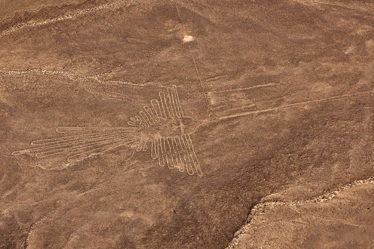 Nazca lines, the Condor bird
