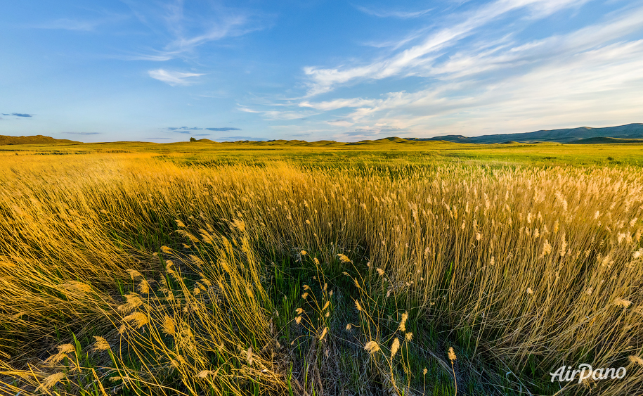 Orenburg Nature Reserve. Aytuarskaya Steppe