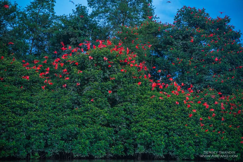 Delta of Orinoco River, Venezuela