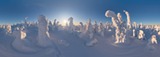 Winter Fairytale. Lapland, Finland