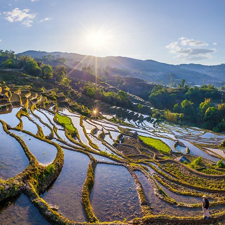 Yuanyang Hani Rice Terraces, China
