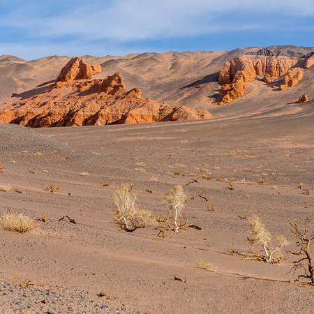 Gobi Desert, Mongolia