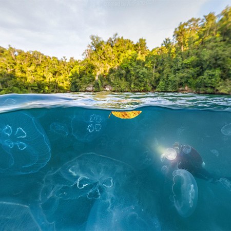 Jellyfish Bay, Raja Ampat, Indonesia. Split Panorama