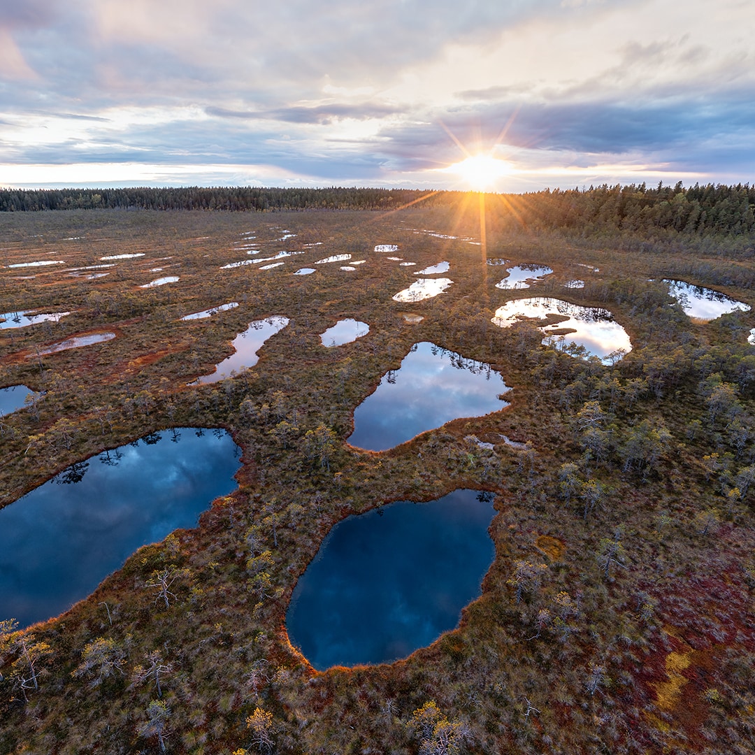 Karelian wetlands