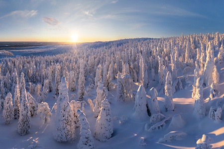 Snowy Fairytale. Short version. Lapland, Finland