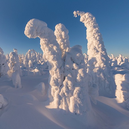 Winter Fairytale. Lapland, Finland