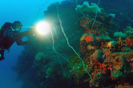 Ship Cemetery in Truk Lagoon, Micronesia