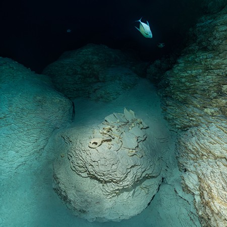 The Temple of Doom, Palau