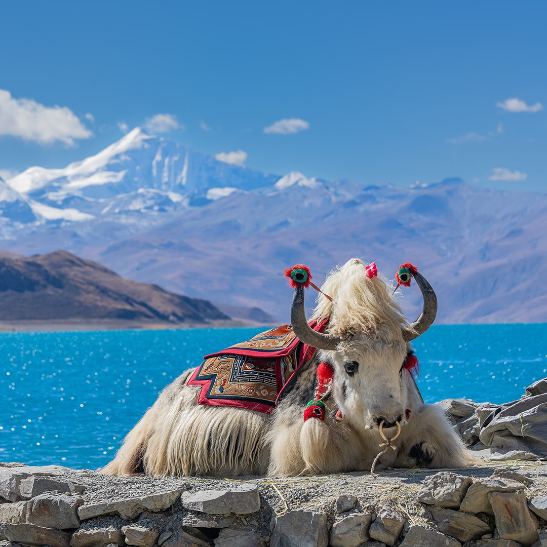 Yamdrok Yumtso Lake, Tibet