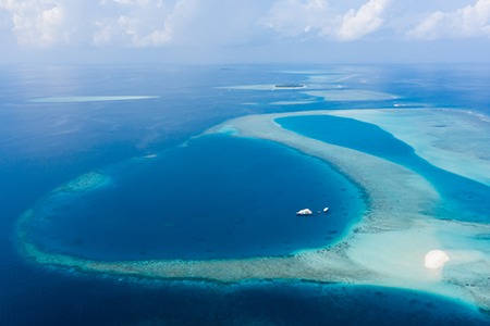 Maldives. Above and below the sea