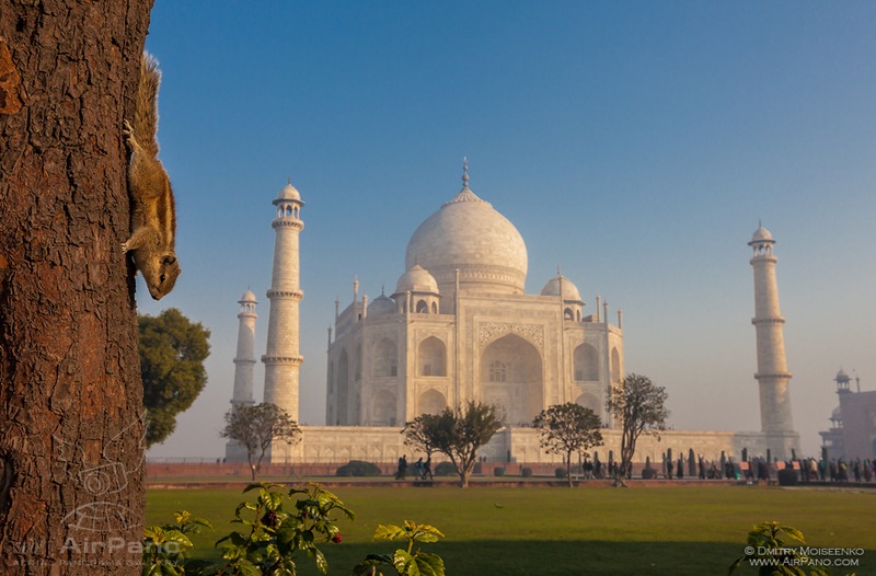 Places like this make us realize how possible it is to make a dream come  true. Taj mahal is my education which 7 wonder…