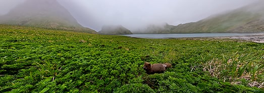 Kuril Islands. VR Relaxation