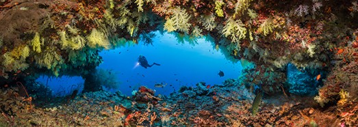 Coral World. Underwater Paradise