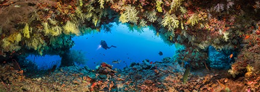 Coral World. Underwater Paradise