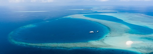 Maldives. Above and below the sea