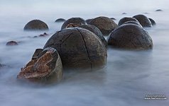 Moeraki boulders #12