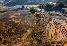 Yuanyang rice terraces #14