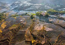 Yuanyang rice terraces #12 Yuanyang rice terraces #12