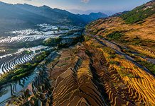 Yuanyang rice terraces #25