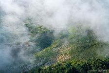 Clouds above Rice Terraces