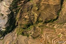 Terraces near Dapu village